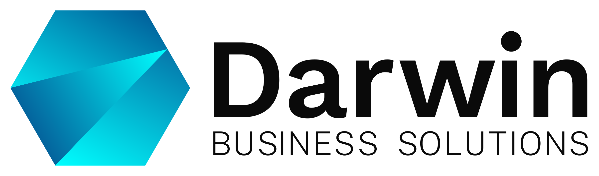 Darwin Business Solutions